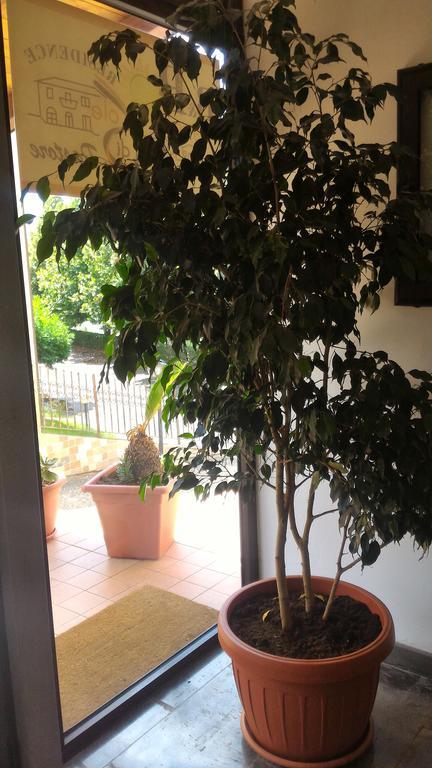 مبيت وإفطار ريندي Raggio Di Sole المظهر الخارجي الصورة